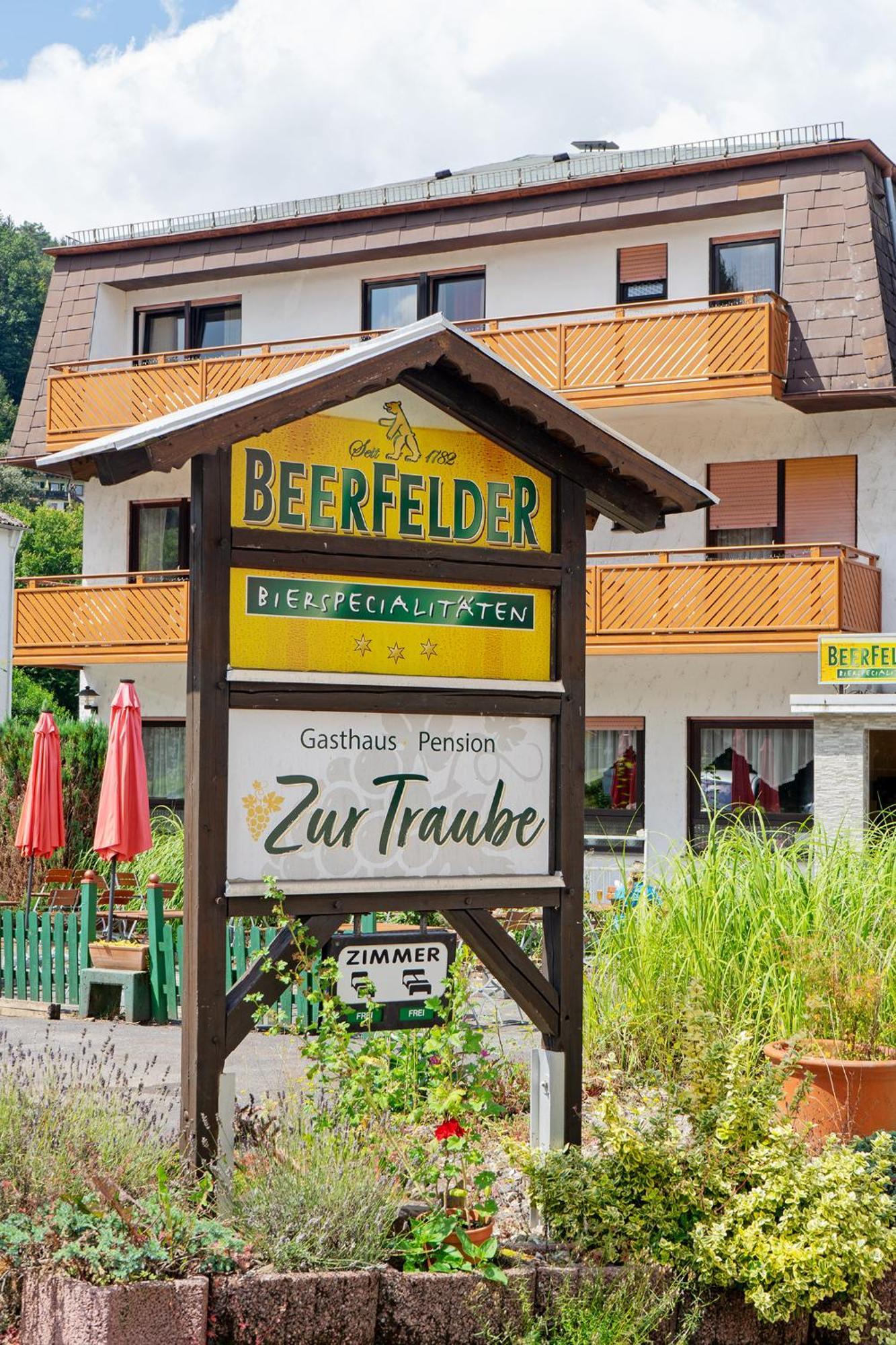 Gasthof Zur Traube Finkenbach Kültér fotó
