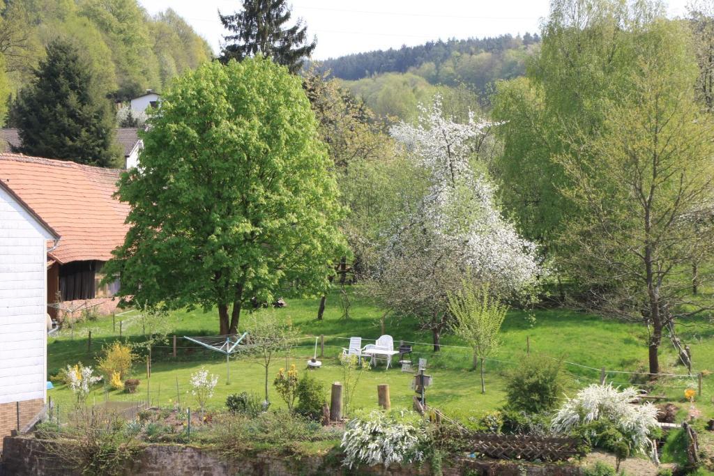 Gasthof Zur Traube Finkenbach Szoba fotó